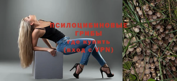 дмт Алексин