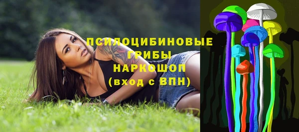 дмт Алексин